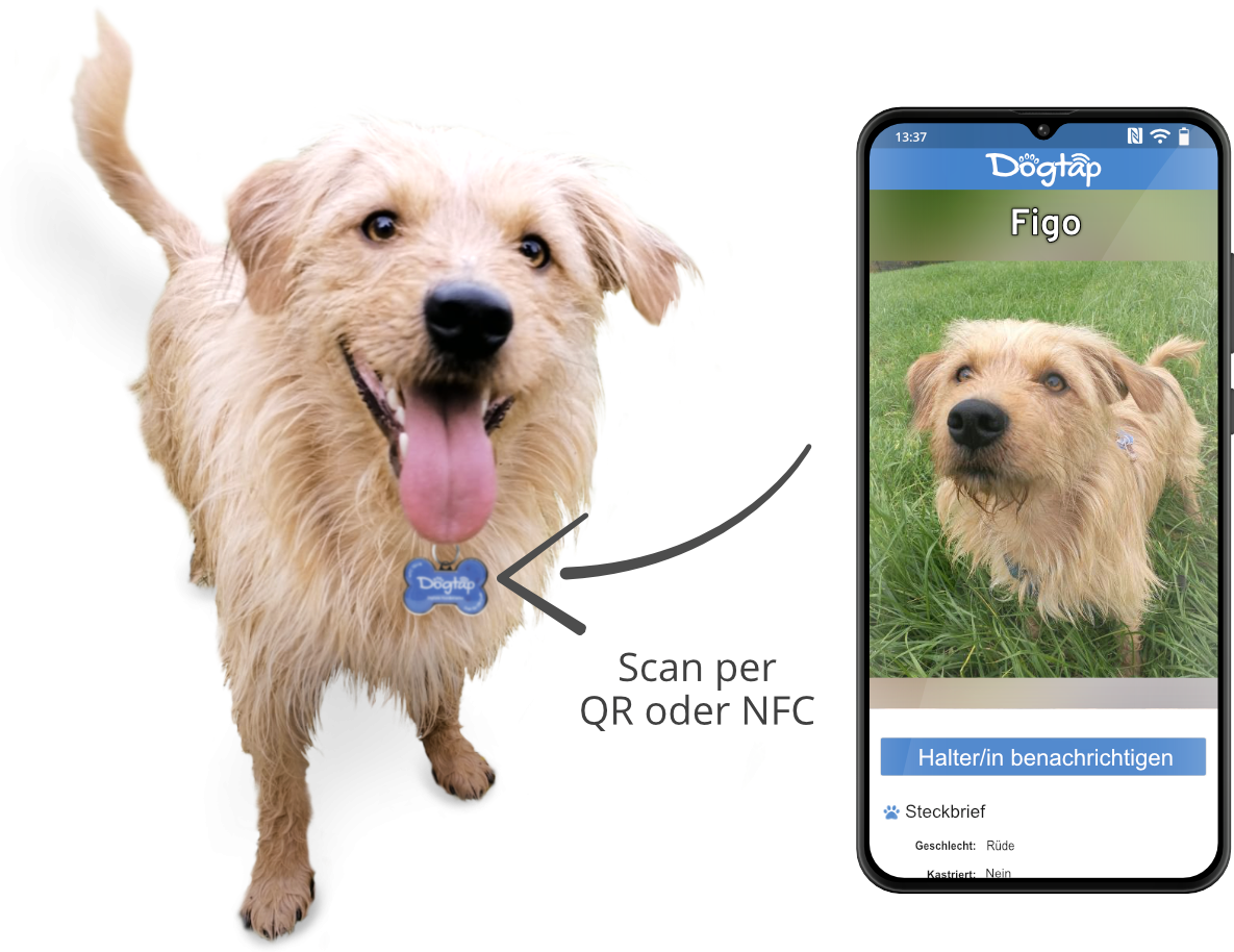 Dogtap - the digital dog tag