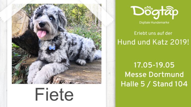 Besuche uns auf der Hund & Katz Messe in Dortmund!