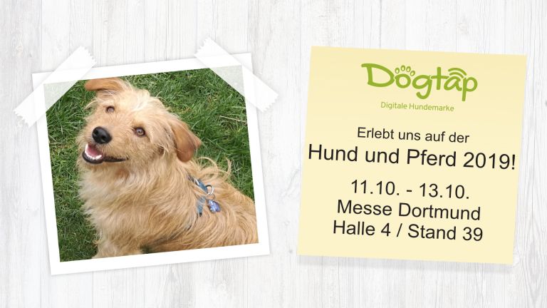 Wir sind auf der Hund & Pferd in Dortmund!