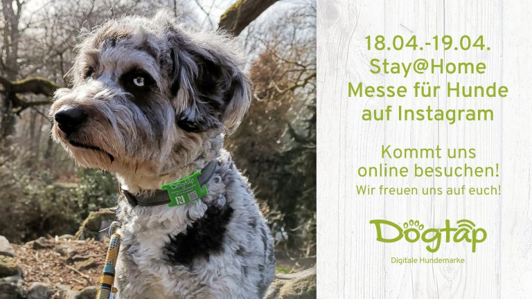 Wir machen bei der Stay@home-Messe mit!